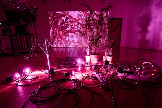 Vođenje kroz izložbu "Hybrid Choices: Art, Nature, Technology"