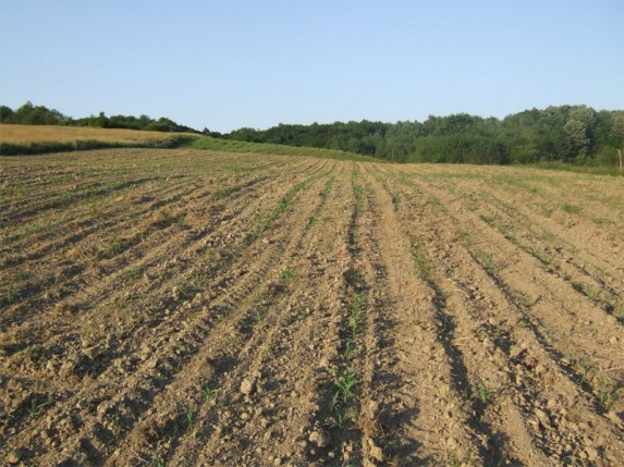 Stiže saglasnost na pravo prečeg zakupa zemljišta
