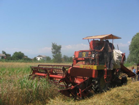 Sejanje, ali bez oranja