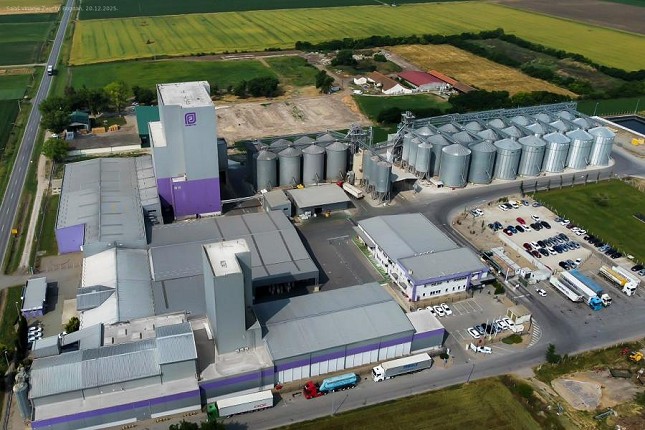 Zajedništvo i posvećenost kao temelj uspeha kompanije "Patent Co."