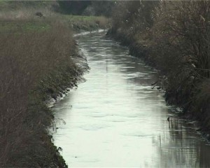 Zacevljenje kolektora III
