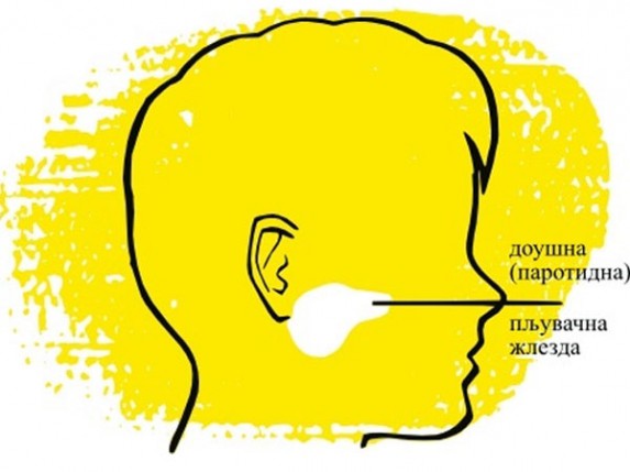 33 lica obolelih od zaušaka u SBO