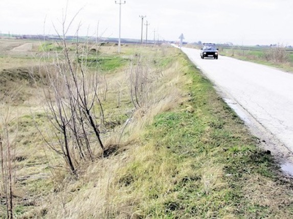 Vetrozaštitini pojasevi su prirodni snegobrani