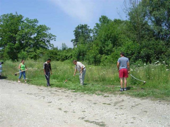 Akcija: Stop ambroziji