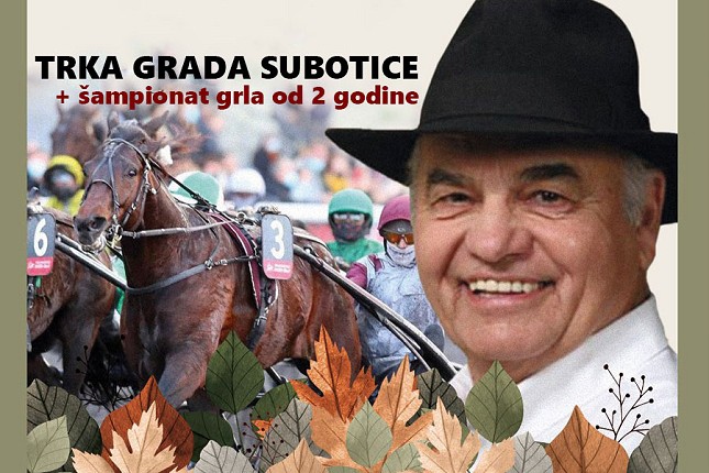 Konjičke trke: "Trka grada Subotice" i Državno prvenstvo za grla od dve godine