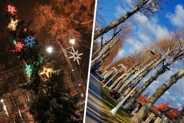 Akcija novogodišnjeg ukrašavanja Palića - poklonite jelku preduzeću Park Palić