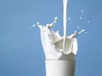 Subotička mlekara širi posao