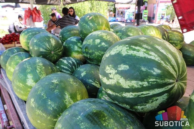 Stigle prve lubenice, kilogram grčkog bostana košta 150 dinara