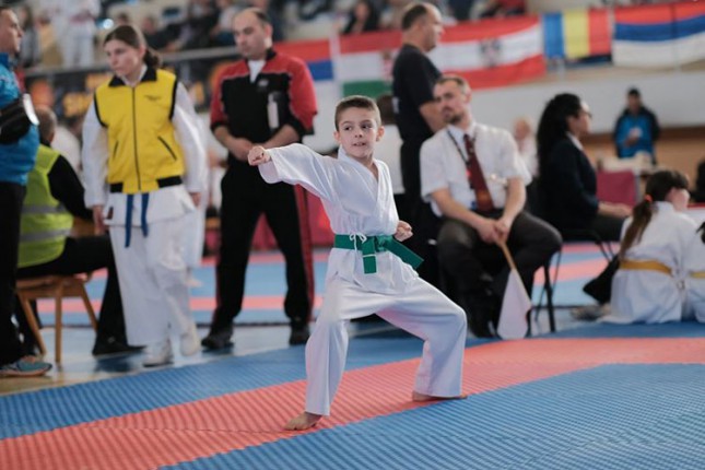 Karate: "Spartak Enpi" iz Novog Sada doneo šesnaest medalja