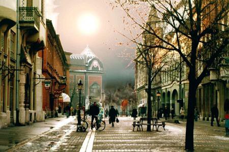 Saradnja Subotice i Brčkog