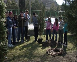 Poklon sadnice za OŠ ”Majšanski put”