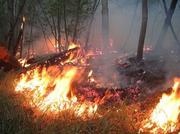 Policija i vatrogasci apeluju na odgovorno ponašanje pri paljenju vatre na otvorenom prostoru