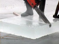 Prave se odušci na jezerima Palić i Ludoš