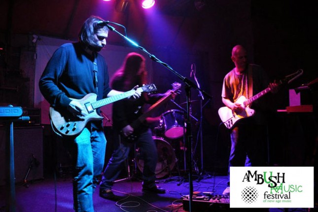 Festival Ambush sutra u Parku Ferenca Rajhla