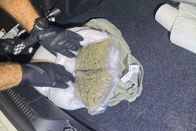 Pas otkrio pola kilograma marihuane sakrivene u jastuk