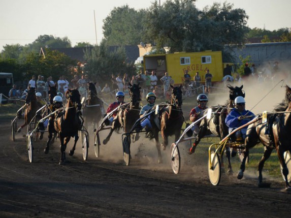 Završene konjičke trke "Dužijanca 2013"