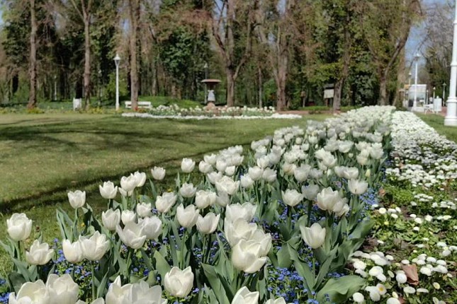 "Tajni život javnih parkova i površina" – razgovor sa Tanjom Jotanović u Savremenoj galeriji