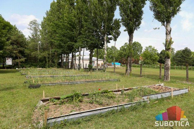 Socijalno ugrožene porodice održavaju permakulturne bašte i ubiru plodove