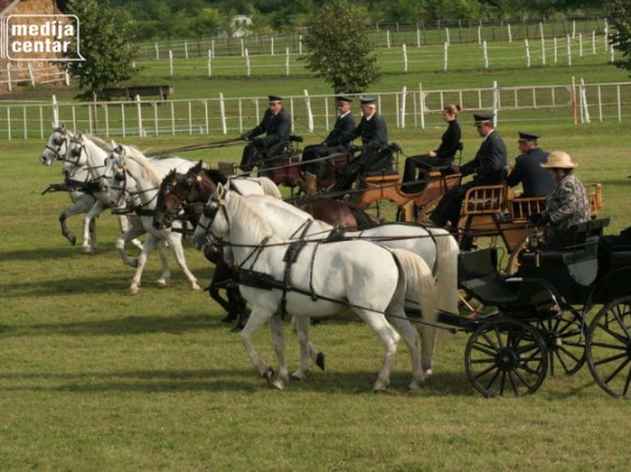 Parada lipicanera i muzej kočija na Kelebiji