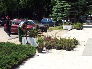 Parking ozelenio 10 žardinjera