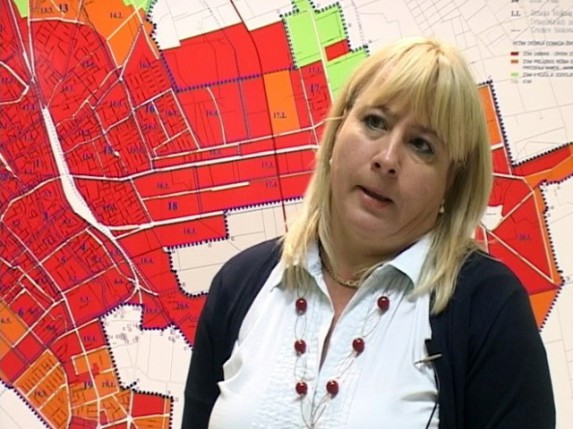 Izvađeno drvo u ulici Braće Ribnikara