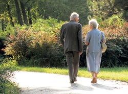 Subotica u trećem dobu