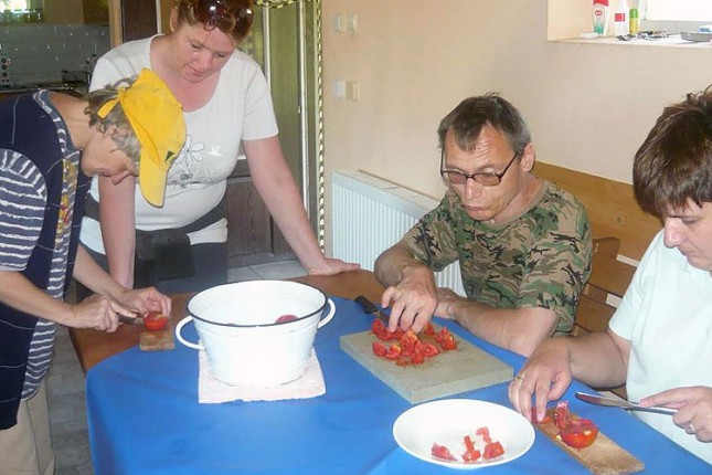 Podrška osobama sa invaliditetom: Roditelji odbijaju da ih ostave u domovima