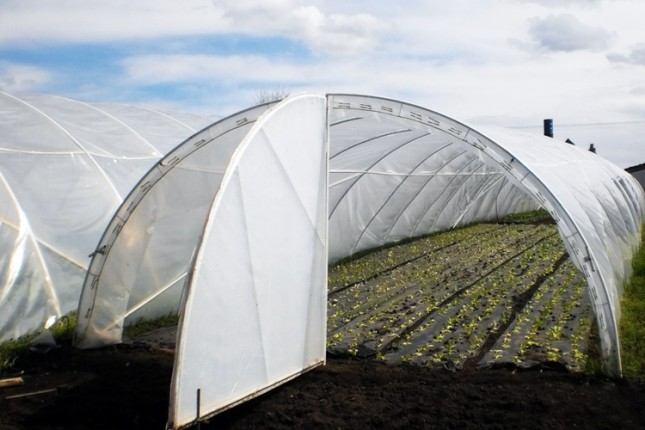 Raspisan Oglas za dodelu sredstava namenjenih za ekonomsko osnaživanje izbeglica kroz dohodovne aktivnosti