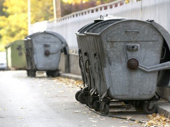 Akcija prolećnog čišćenja u MZ "Mišićevo" i MZ "Mala Bosna"