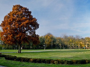 Novi režim zaštite Parka prirode Palić