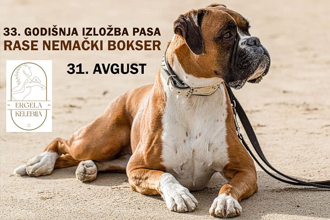 Izložba pasa rase nemački bokser u nedelju na Ergeli Kelebija