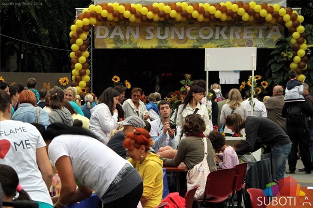 Obeležen Dan suncokreta