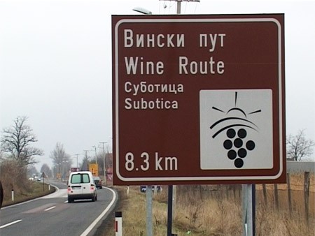Putevi vina u Subotici