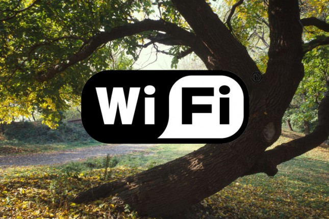 Besplatan internet u Velikom parku na Paliću