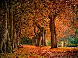 Danas je počela jesen