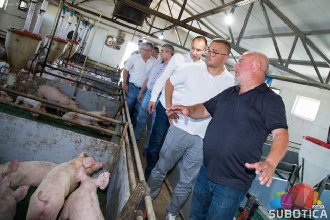 Ministar poljoprivrede Branislav Nedimović posetio gazdinstvo u Bikovu