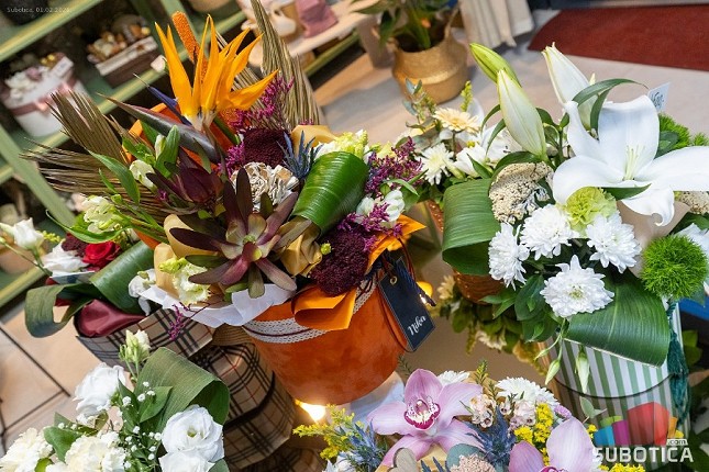 Cvećara "Nika" na novoj adresi - Za svaki povod savršen poklon