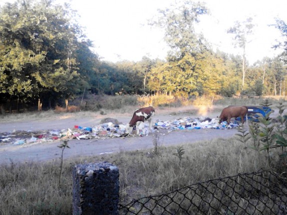 Problemi sa odlaganjem smeća