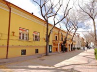 Kulturni genocid u Subotici