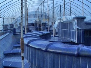 Vandali opet oštetili Plavu fontanu