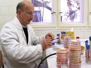 Hrana u Subotici dobrog kvaliteta