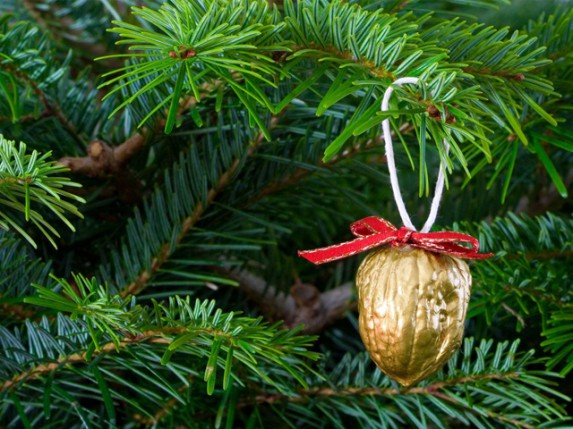 Kupovina novogodišnjih jelki