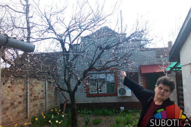 Zbog oraha na rubu egzistencije