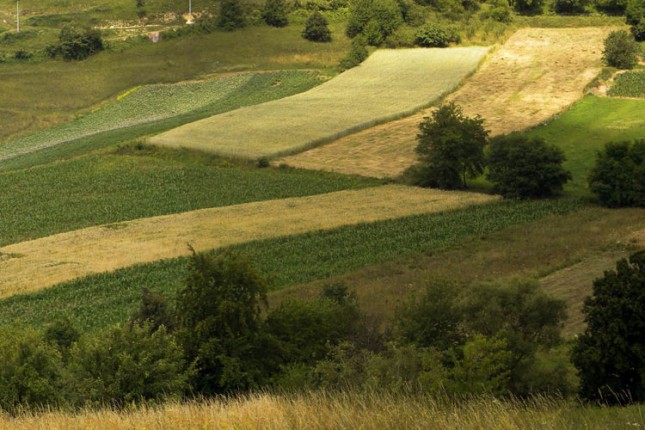 Ne žele papir, hoće zemlju