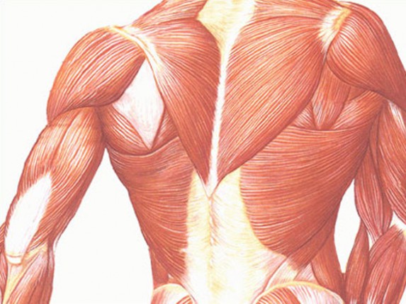 Poziv za roditelje dece obolele od distrofije