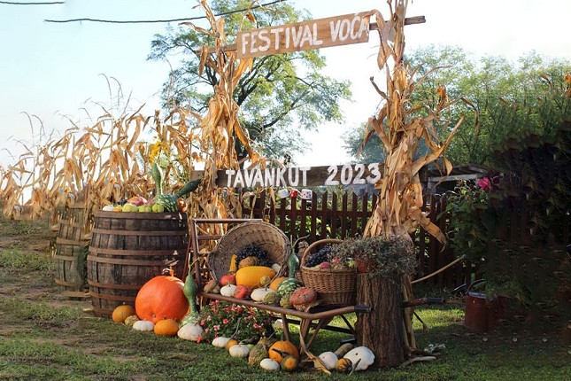 Tavankut u znaku voća i rukotvorina: festival spaja tradiciju i zajedništvo
