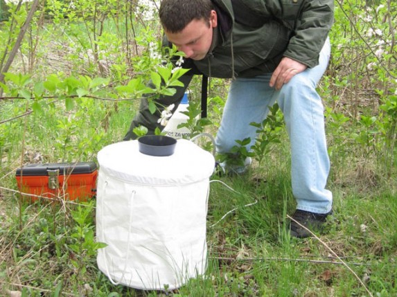 Analiza prisustva komaraca na teritoriji Subotice