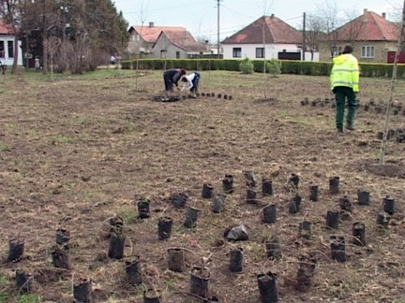 Revitalizuje se park u Bajmoku na Rati