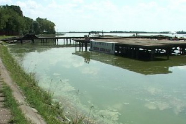 Posledice skuplje od rešenja problema