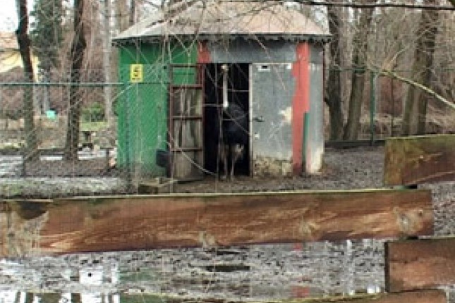 Zoološki vrt pod vodom